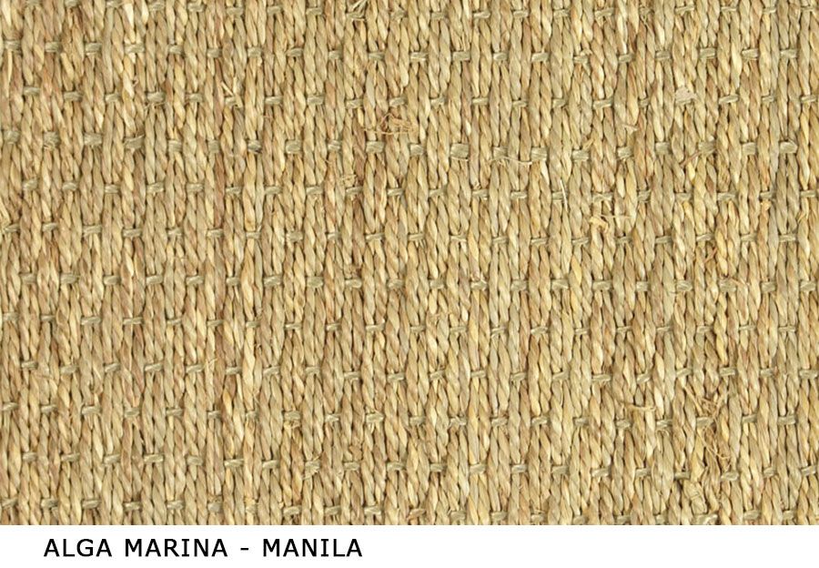 Alga-Marina-Manila-basso.jpg